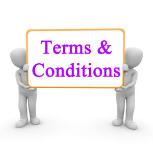 Terms & Conditions – Teddy's Castle